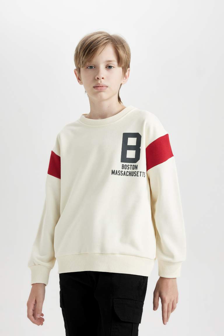 Boy Crew Neck Printed Thick Sweatshirt