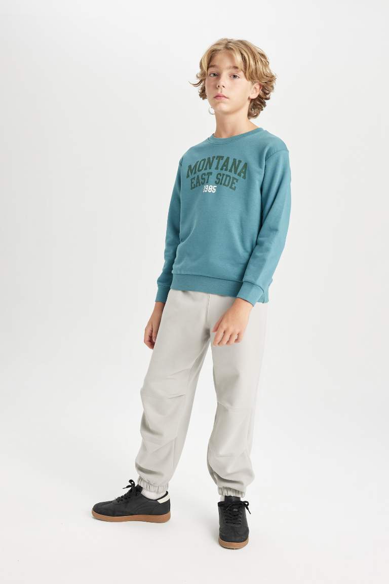 Boy Regular Fit Crew Neck Text Printed Sweatshirt