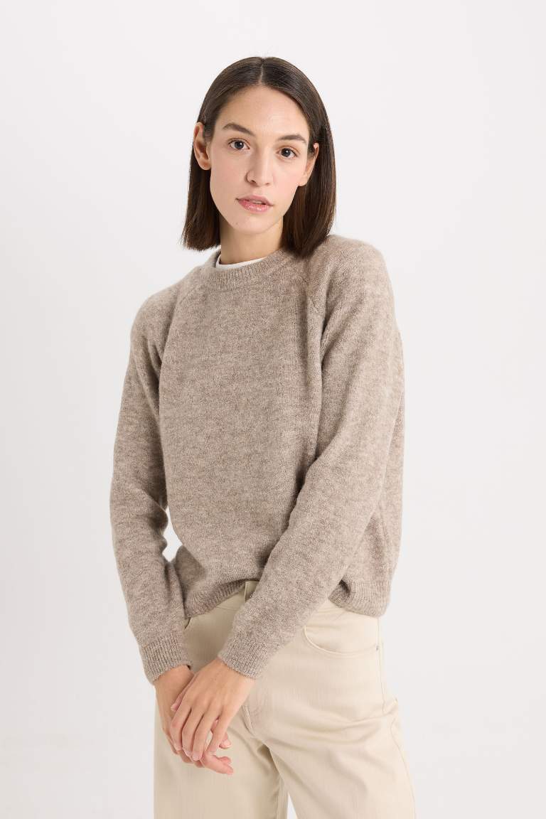 Pull en tricot basique à col rond Coupe régulière