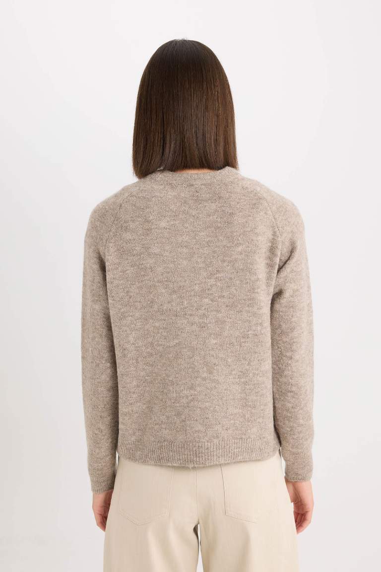 Pull en tricot basique à col rond Coupe régulière