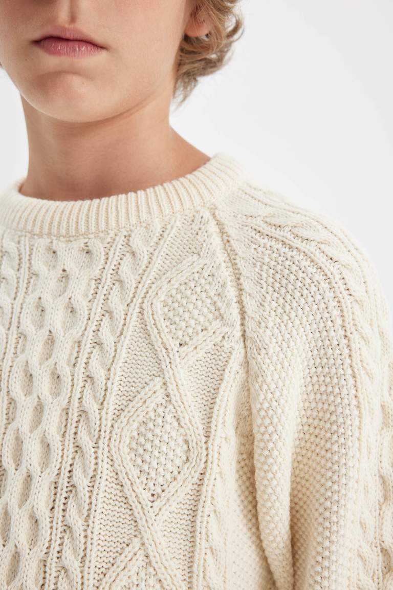 Boy Crew Neck Patterned Knitted Pullover