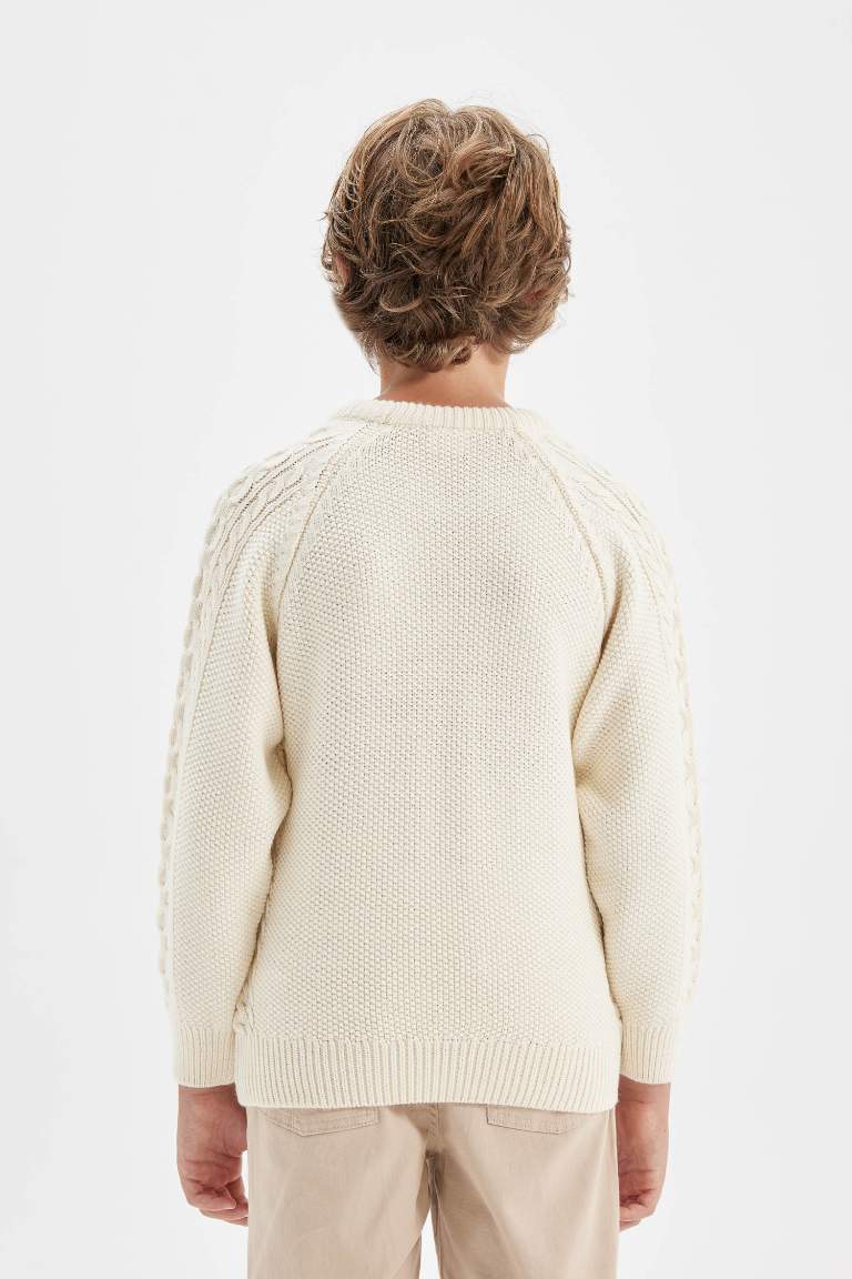 Boy Crew Neck Patterned Knitted Pullover