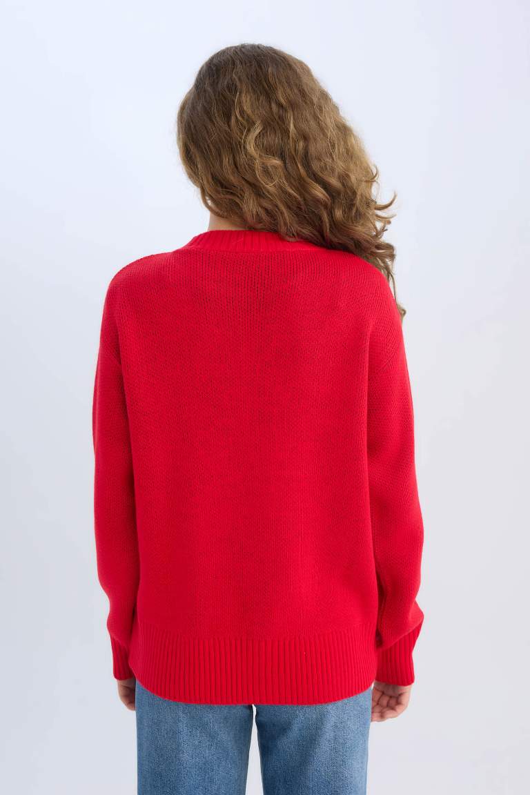 Christmas Themed Oversize Fit Half Turtleneck Pullover