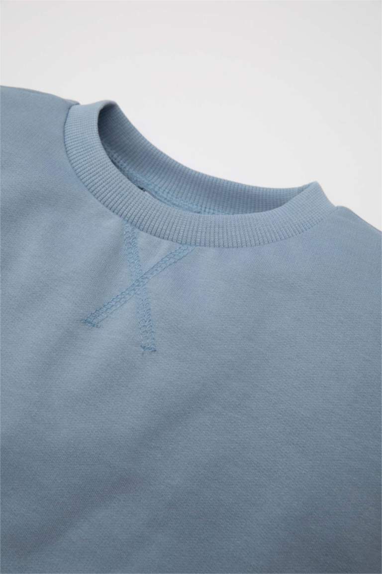 Baby Boy Regular Fit Sweatshirt