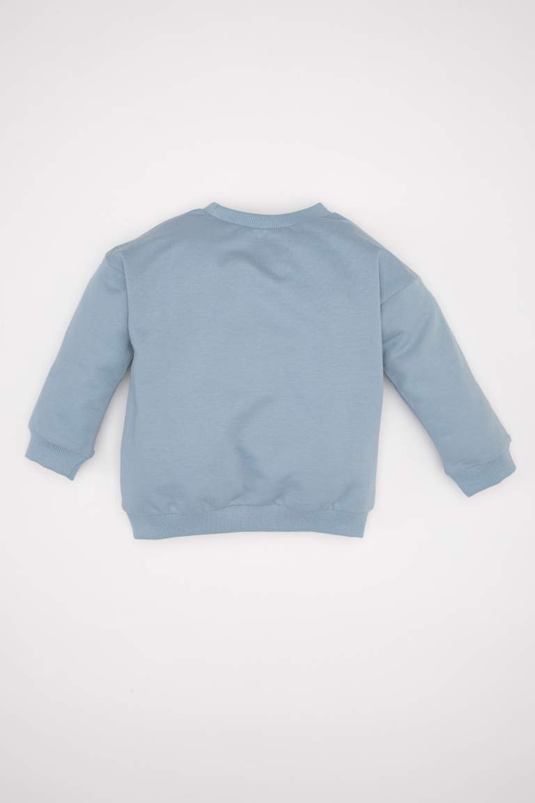 Baby Boy Regular Fit Sweatshirt