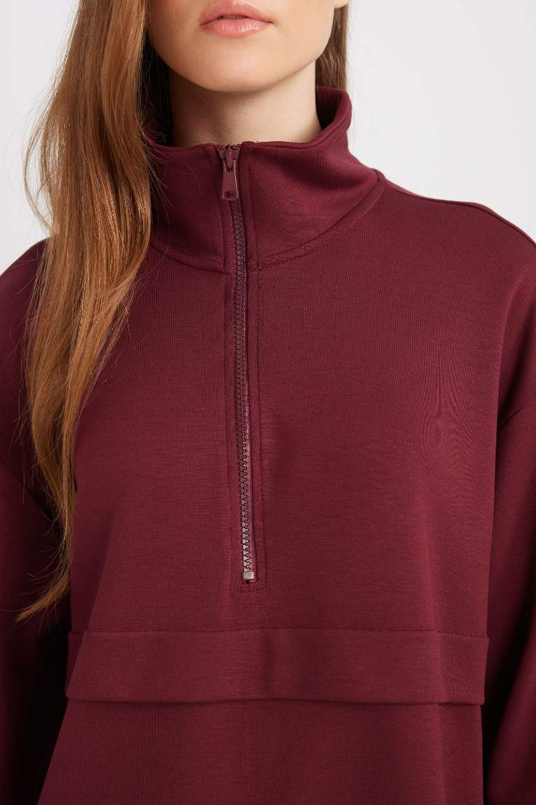 Regular Fit Half Zipper Basic Sweatshirt Tunic