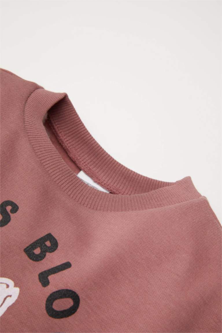 Kız Bebek Bisiklet Yaka Çiçekli Sweatshirt