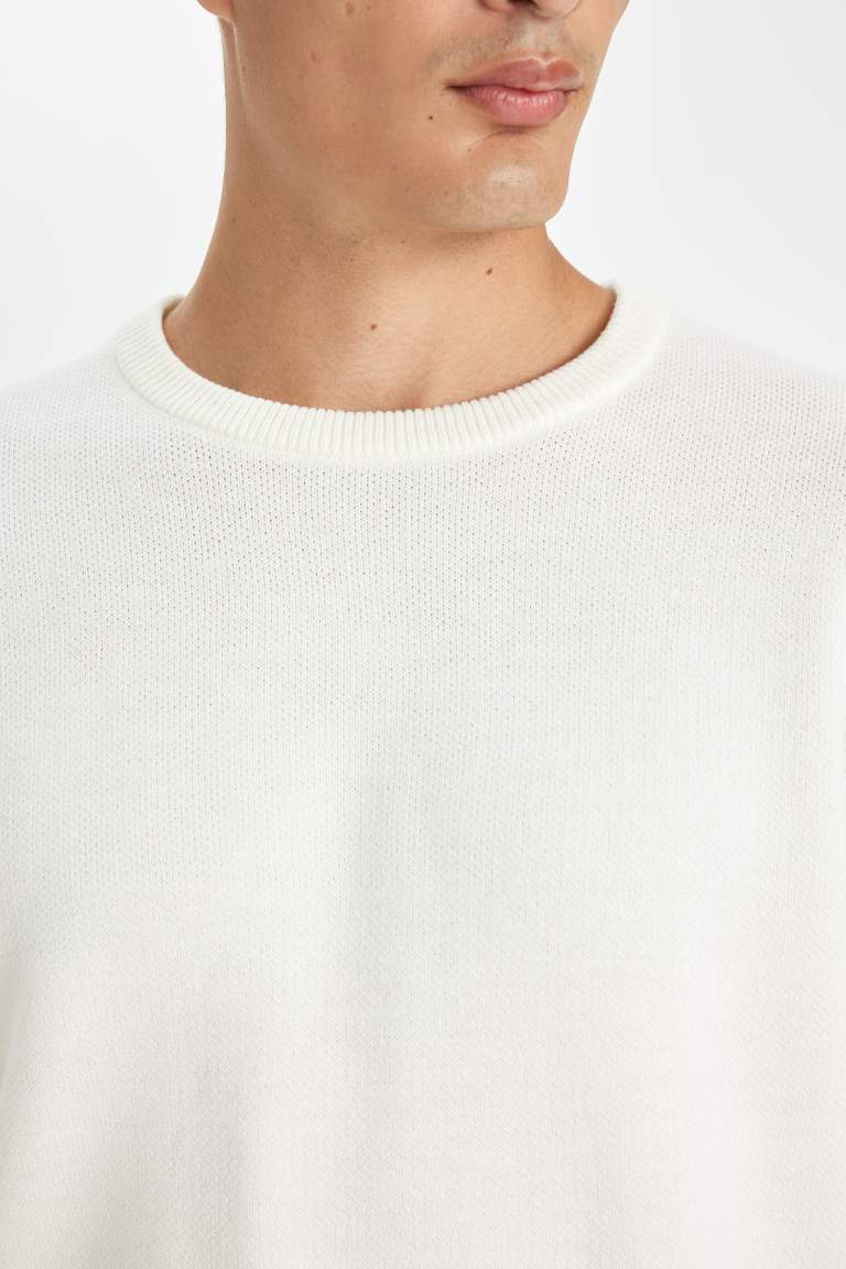 Standard Fit Basic Knitted Pullover