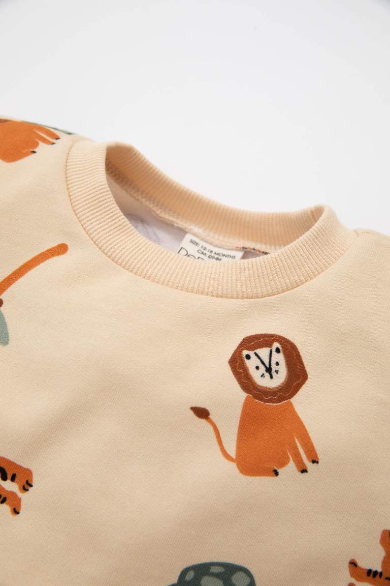 Baby Boy Crew Neck Printed Sweatshirt