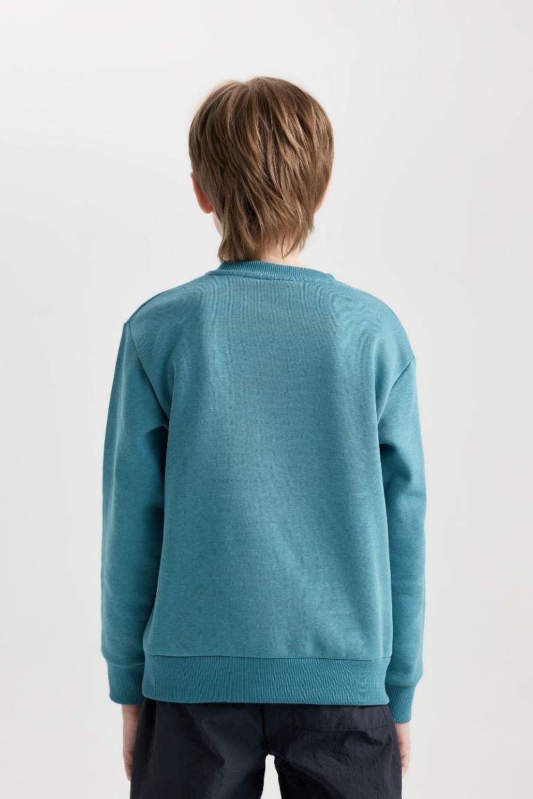 Boy Printed Crew Neck Thick Sweatshirt