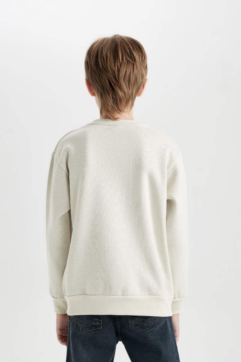 Boy Crew Neck Printed Sweatshirt