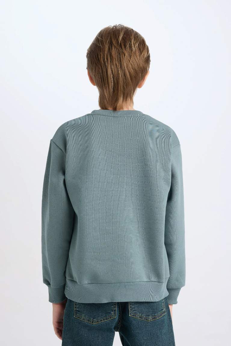 Boy Crew Neck Printed Thick Sweatshirt