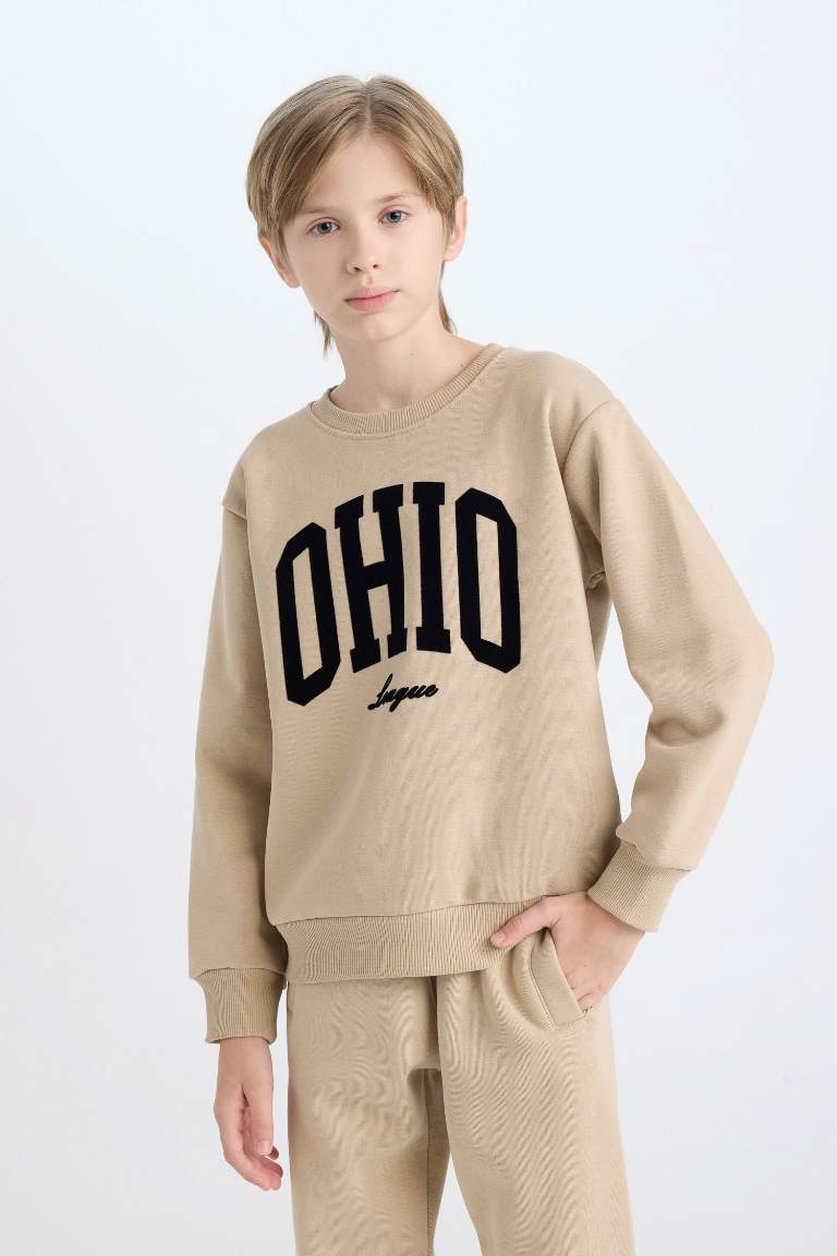 Boy Crew Neck Printed Thick Sweatshirt