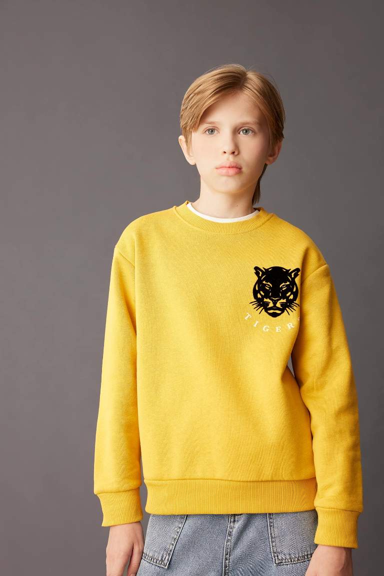 Boy Crew Neck Tiger Printed Sweatshirt