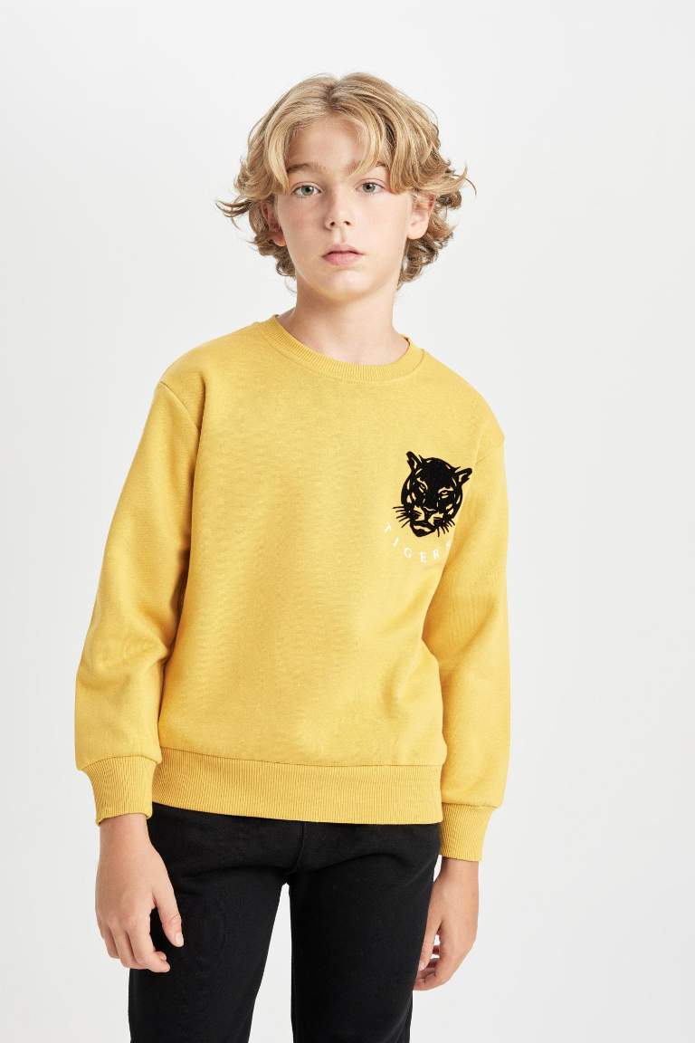 Boy Crew Neck Tiger Printed Sweatshirt