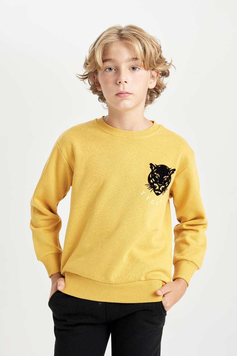 Boy Crew Neck Tiger Printed Sweatshirt