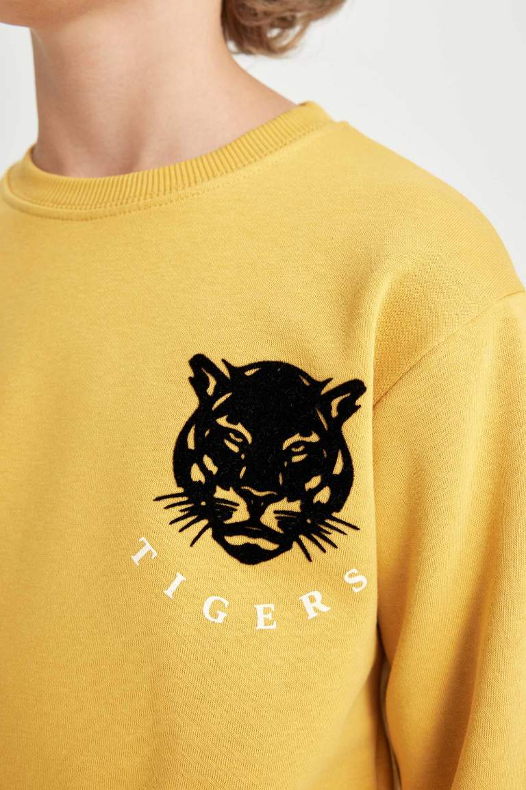 Boy Crew Neck Tiger Printed Sweatshirt