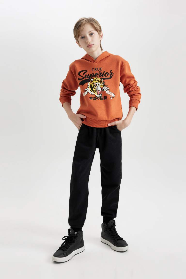 Boy Tiger Printed Thick Sweatshirt Jogger Sweatpants 2 Piece Set