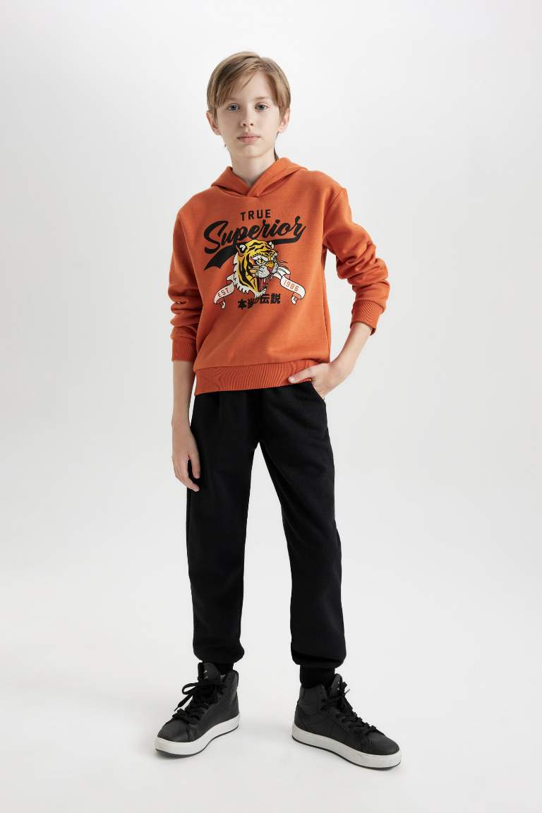 Boy Tiger Printed Thick Sweatshirt Jogger Sweatpants 2 Piece Set