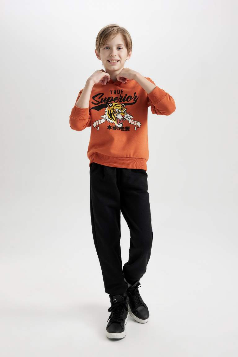 Boy Tiger Printed Thick Sweatshirt Jogger Sweatpants 2 Piece Set