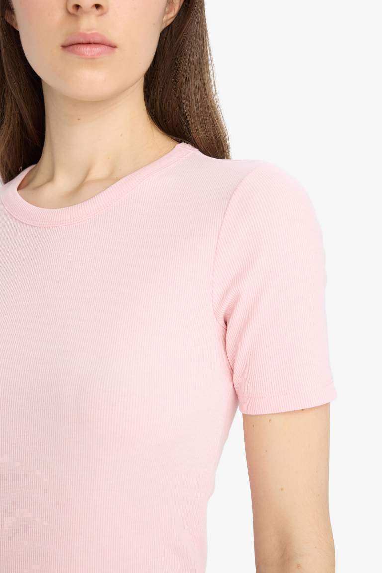 Woman Short Sleeve T-Shirt