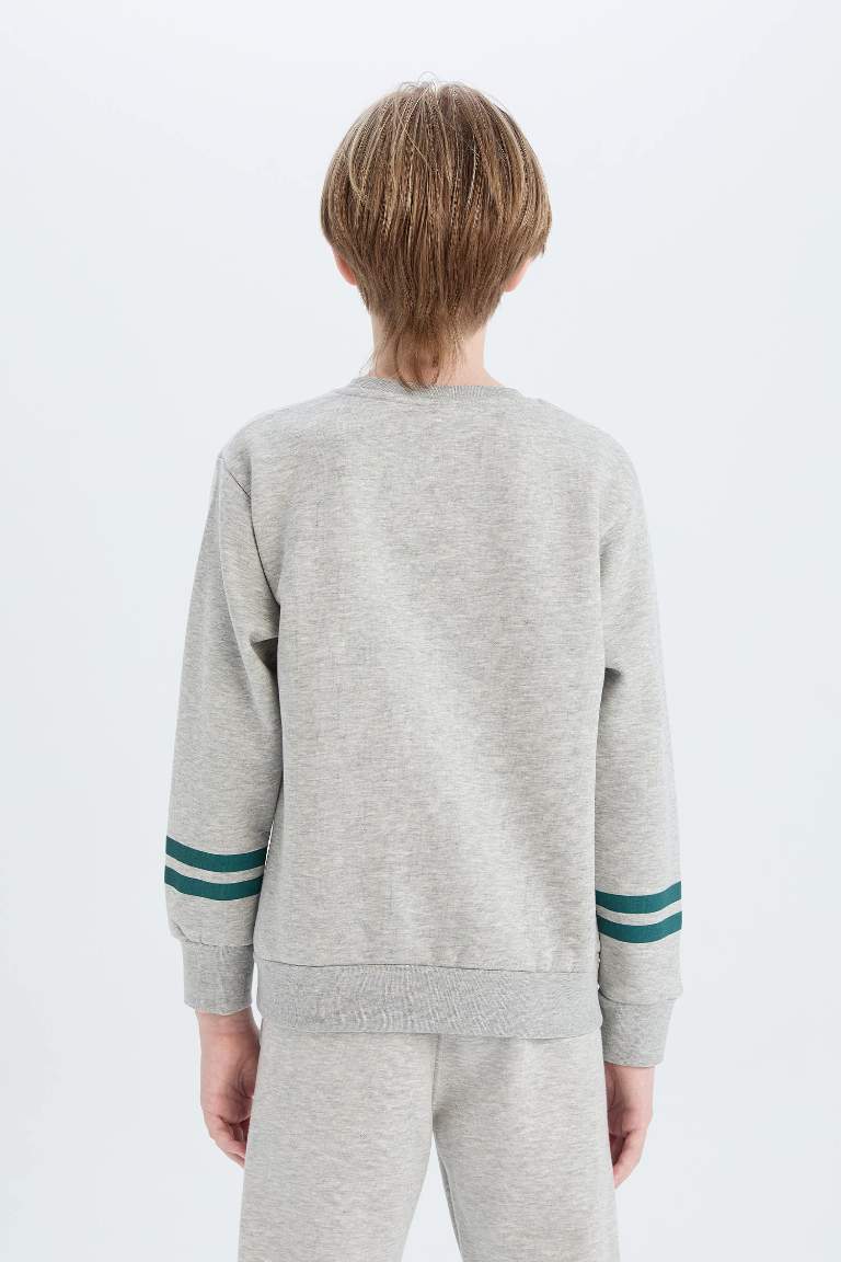 Boy Crew Neck Printed Thick Sweatshirt