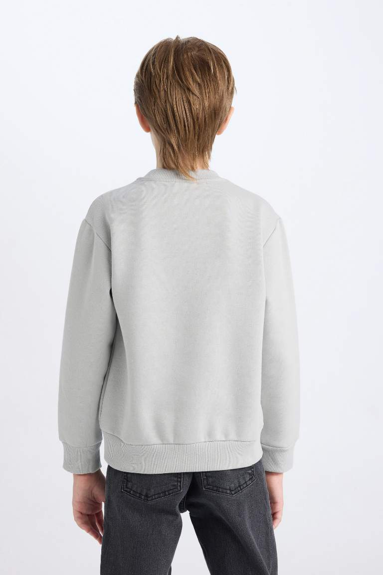 Boy Crew Neck Printed Thick Sweatshirt