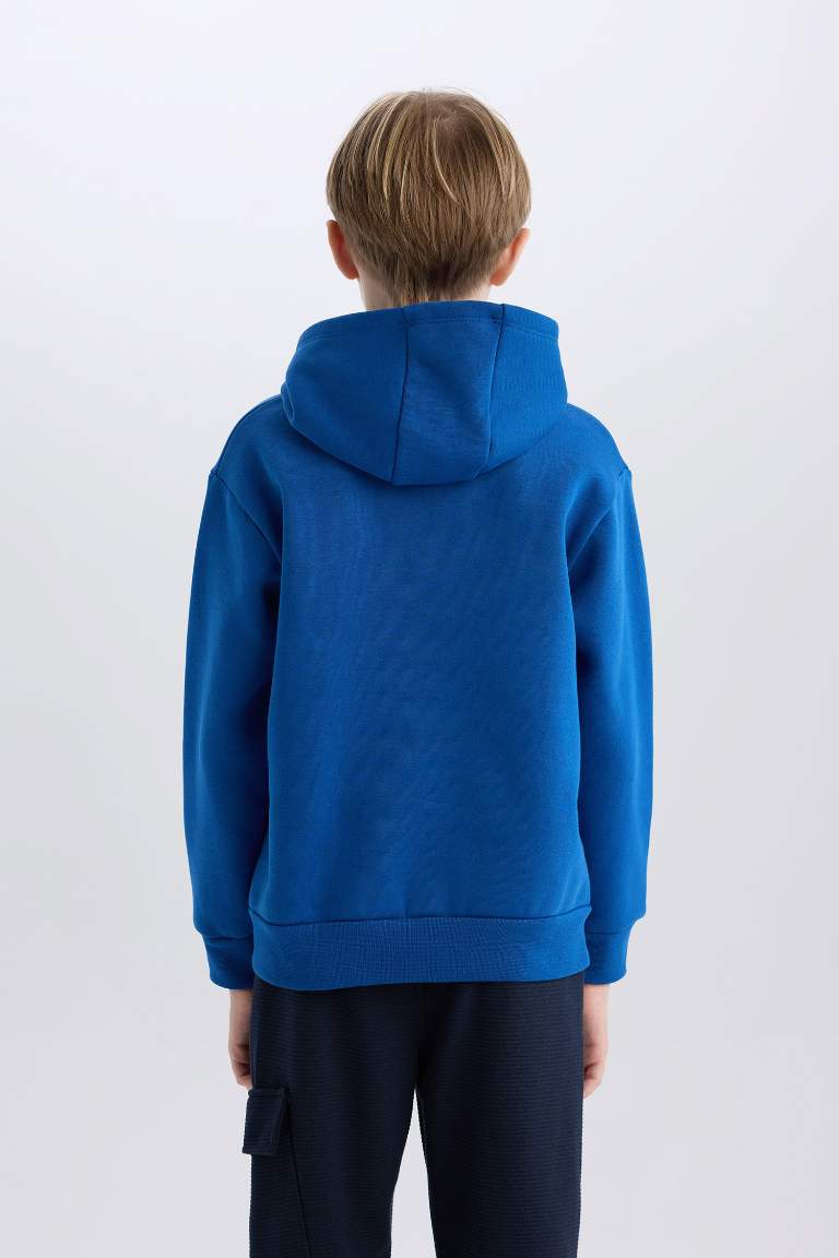 Boy Hooded Sports Printed Thick Sweatshirt