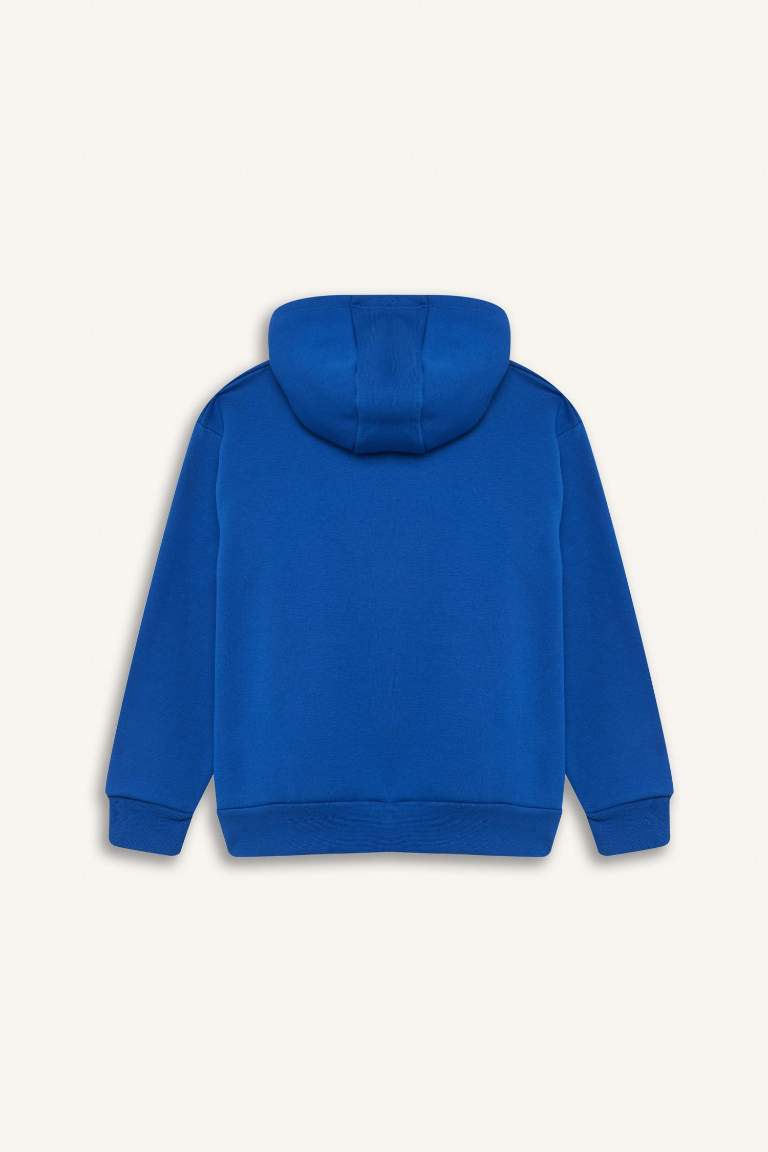 Boy Hooded Sports Printed Thick Sweatshirt