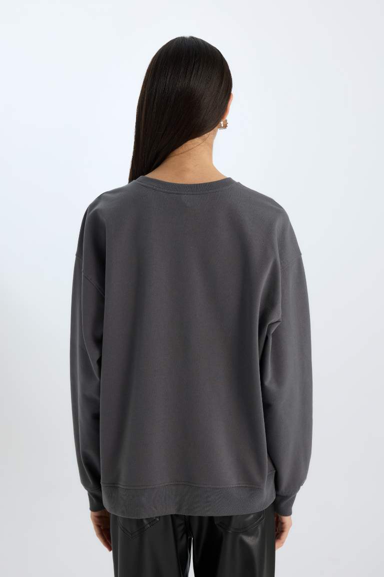 Relax Fit Crew Neck Thin Fabric Sweatshirt