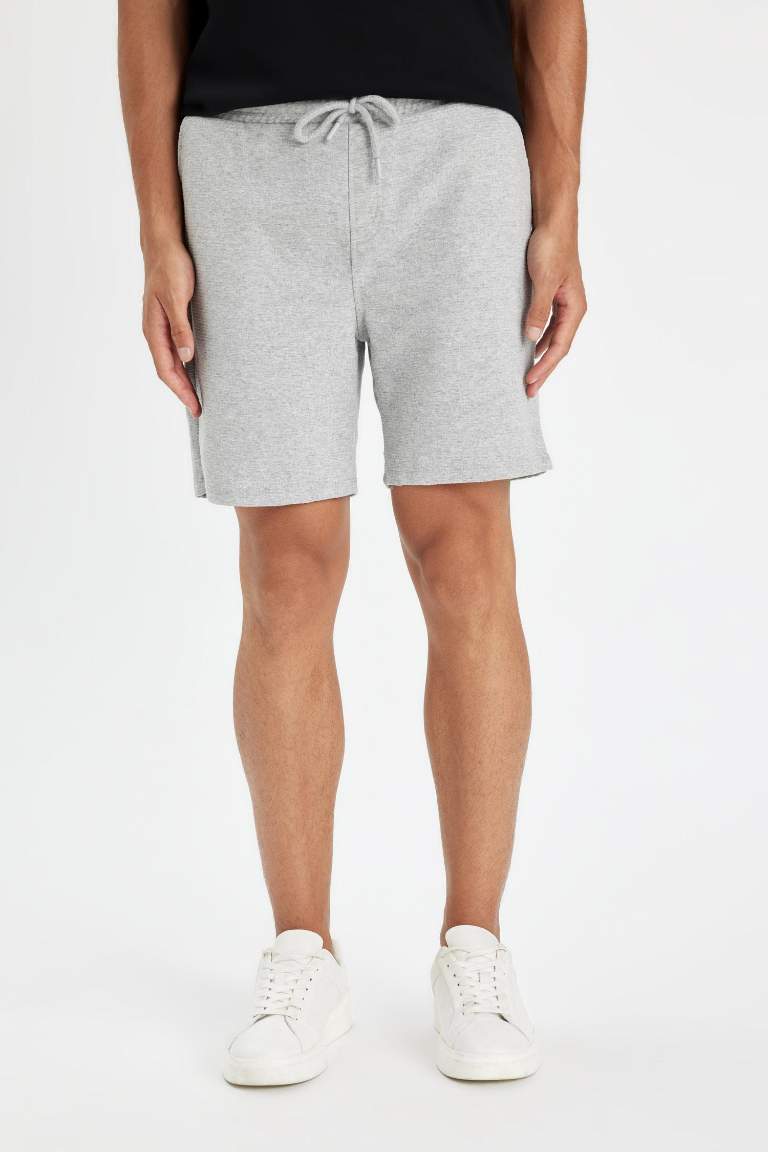 Regular Fit Shorts