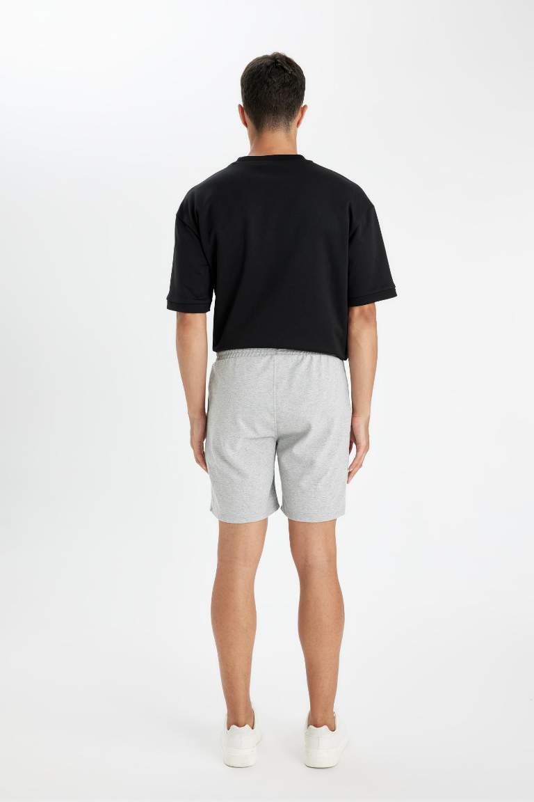 Regular Fit Shorts