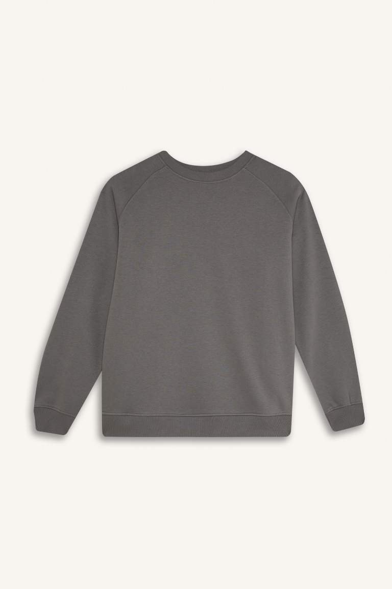 Oversize Fit Crew Neck Thick Sweatshirt