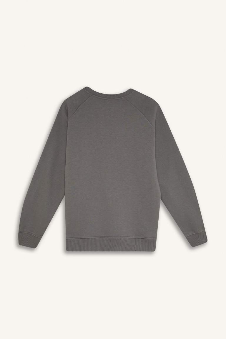 Oversize Fit Crew Neck Thick Sweatshirt