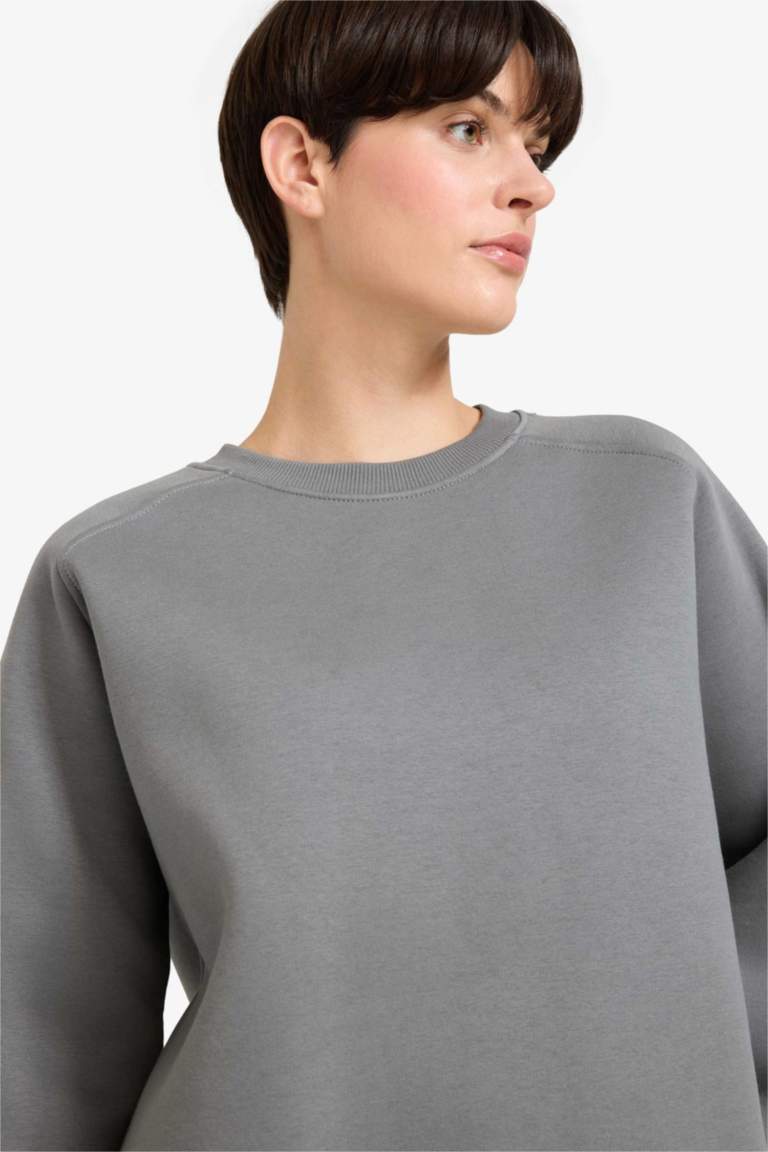 Oversize Fit Crew Neck Basic Thick Fabric Sweatshirt