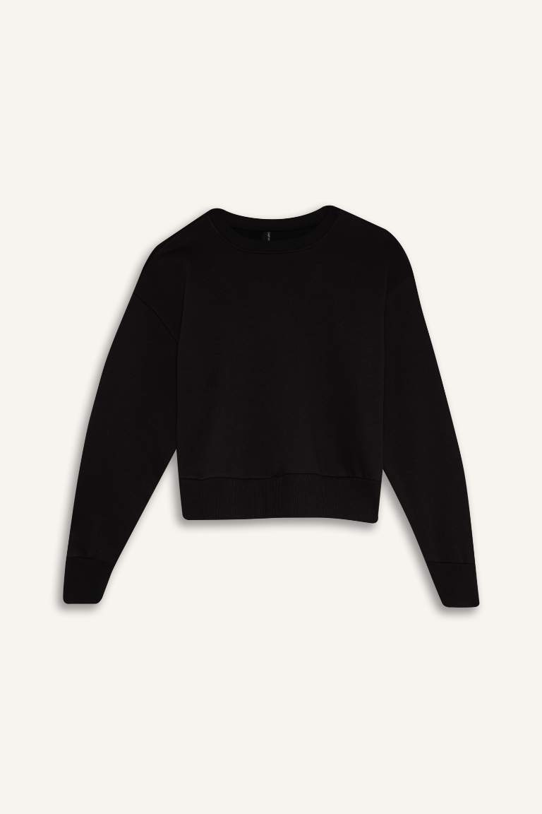 Boxy Fit Crew Neck Thick Fabric Sweatshirt