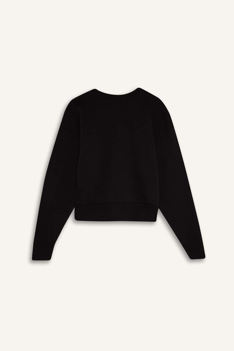 Boxy Fit Crew Neck Thick Fabric Sweatshirt