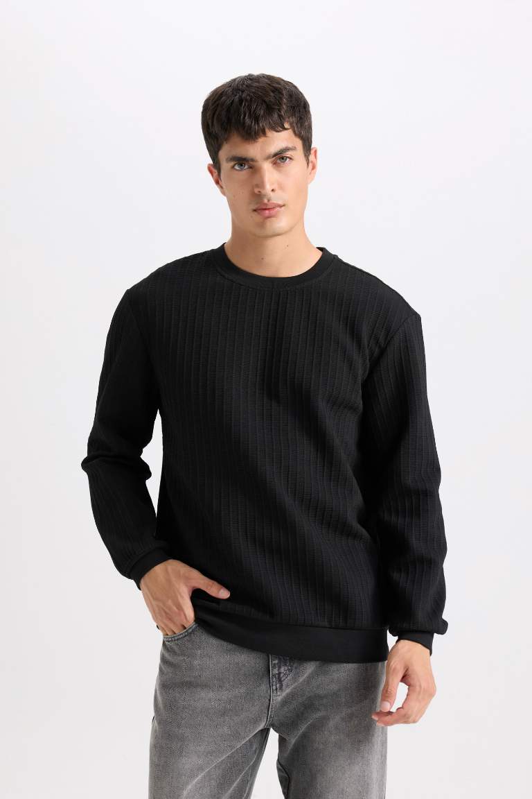 Regular Fit Crew Neck Jacquard Basic Sweatshirt