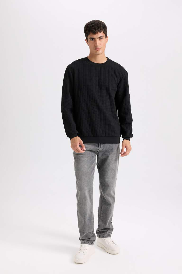 Regular Fit Crew Neck Jacquard Basic Sweatshirt