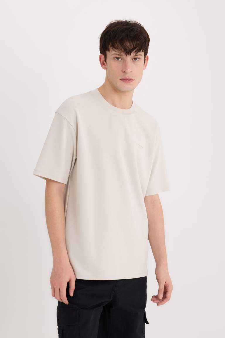 Boxy Fit Crew Neck Printed Heavy Fabric T-Shirt