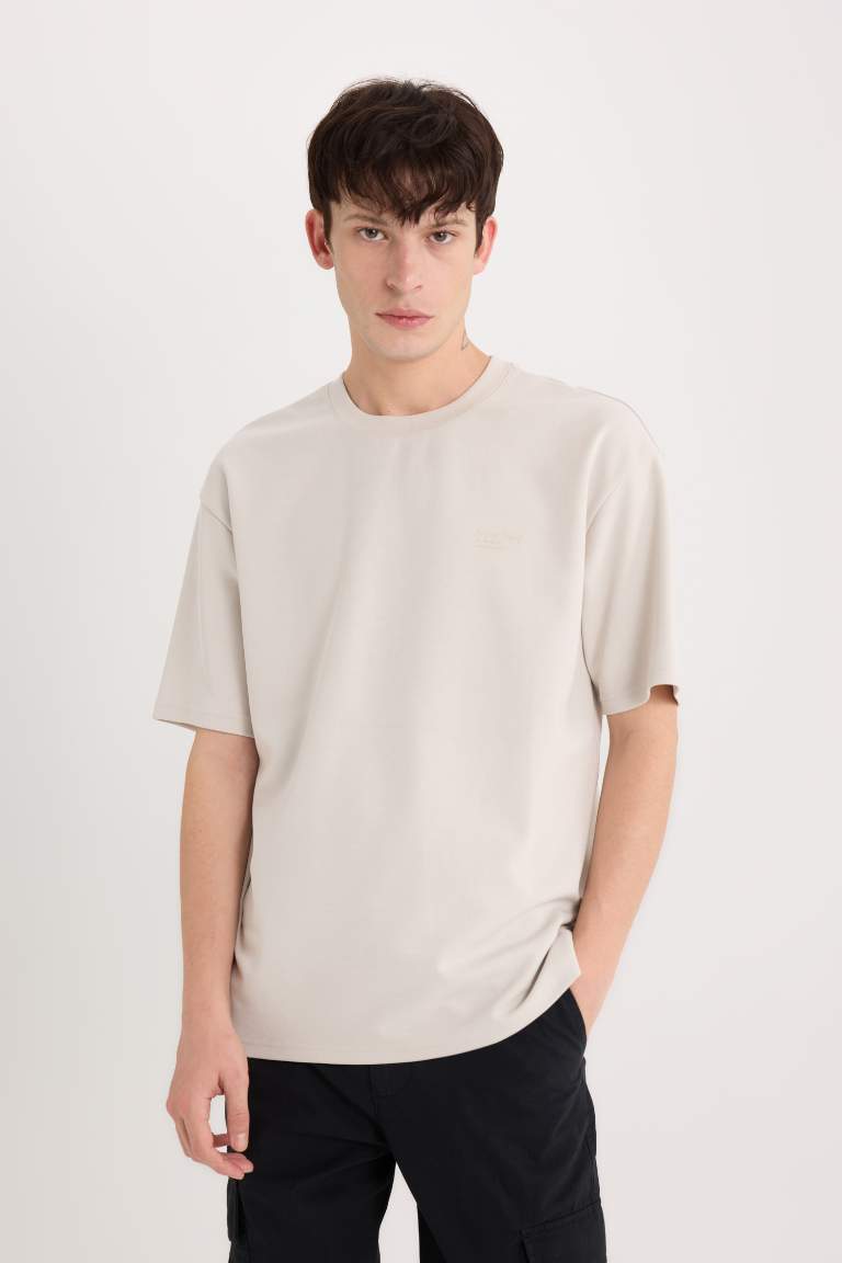 Boxy Fit Crew Neck Printed Heavy Fabric T-Shirt