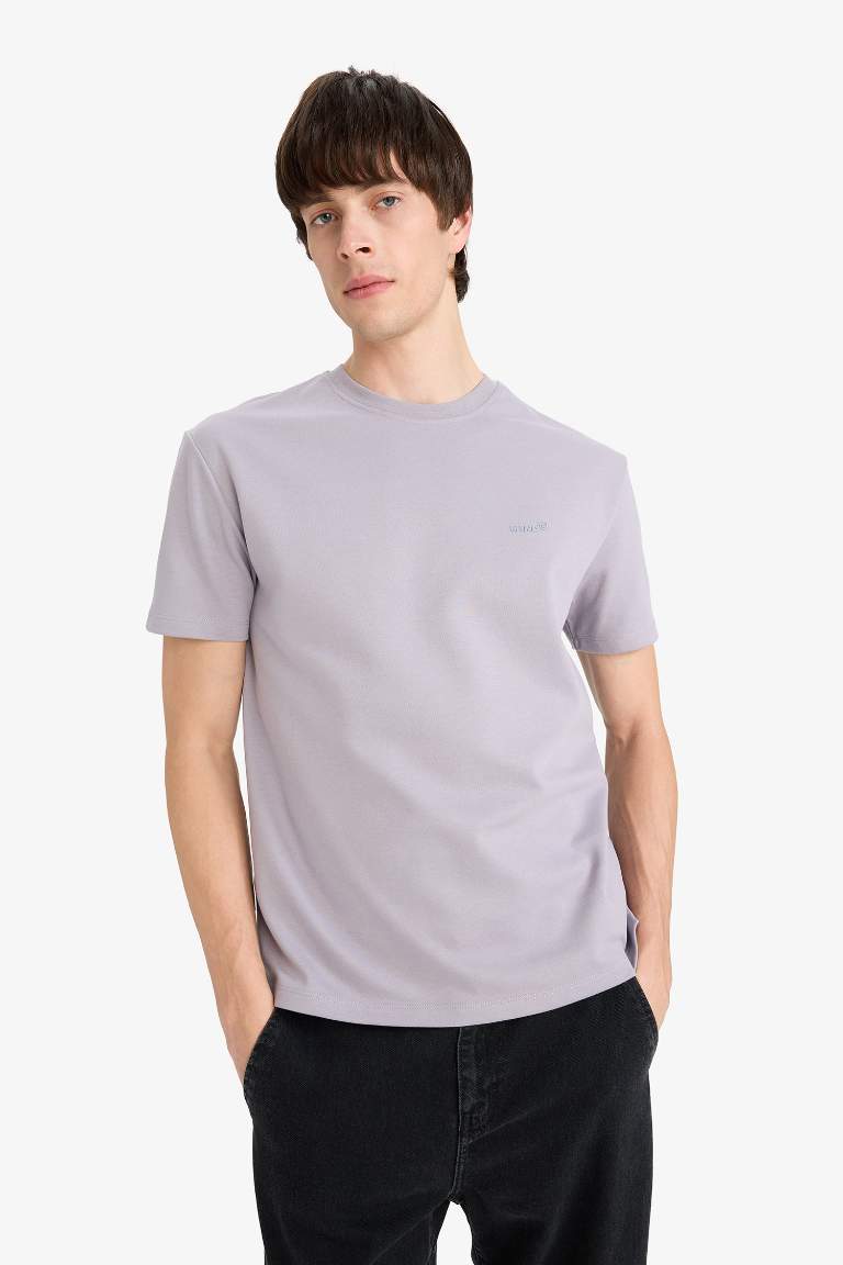 Regular Fit Crew Neck Printed T-Shirt