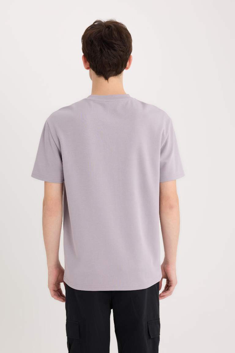 Regular Fit Crew Neck Printed T-Shirt