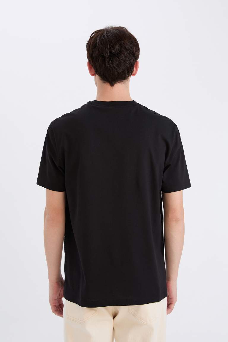 Regular Fit Crew Neck Printed T-Shirt