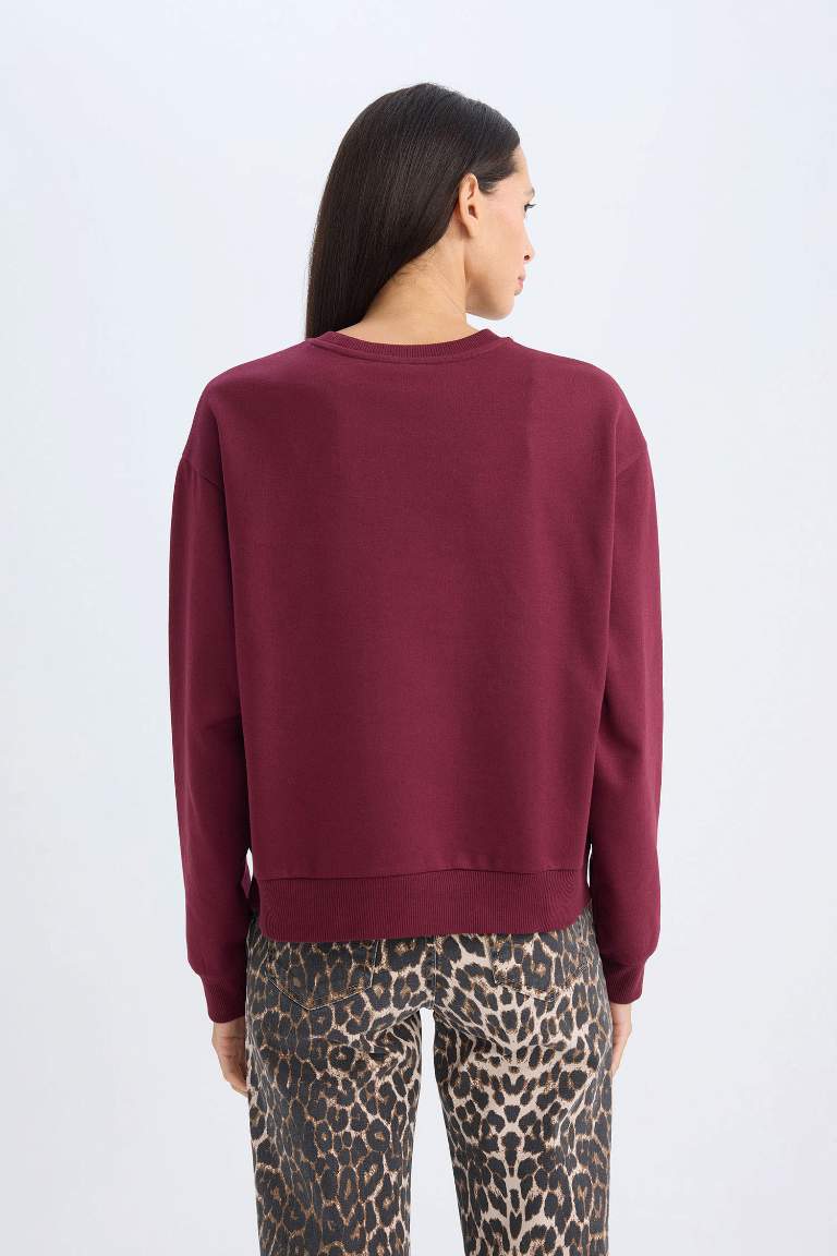 Regular Fit Printed Long Sleeve Sweatshirt