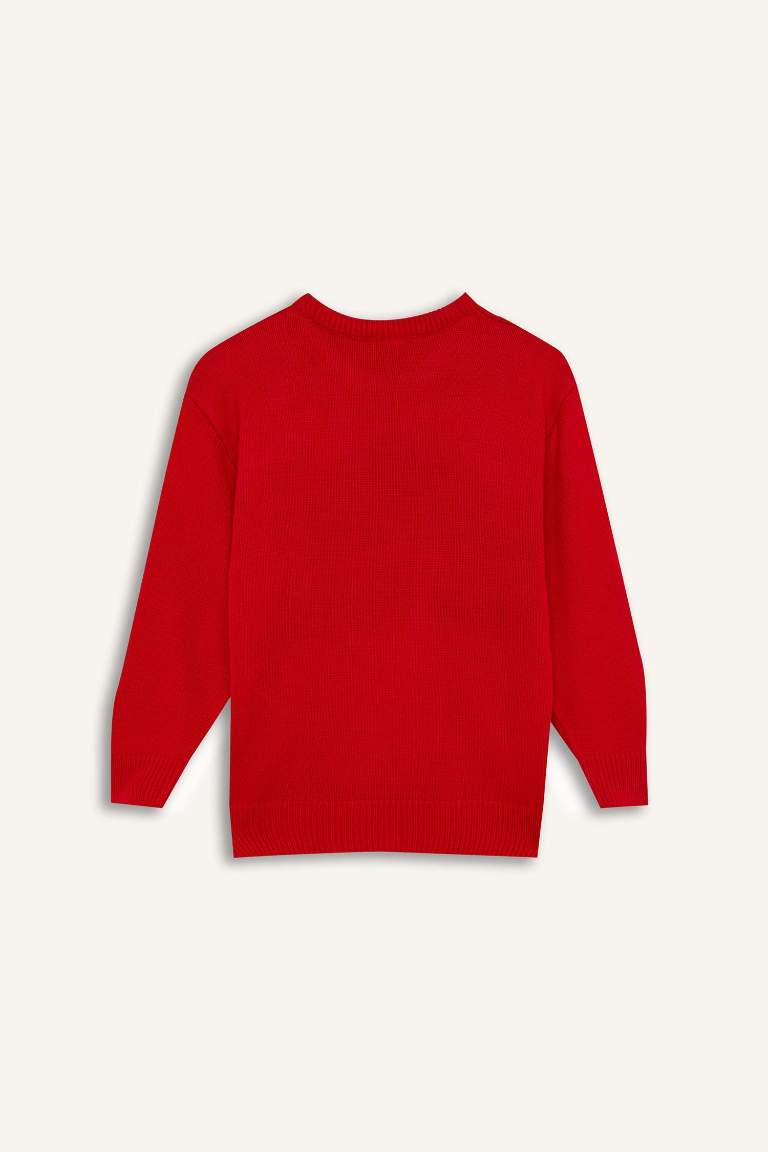 Boy Christmas Themed Crew Neck Knitwear Pullover