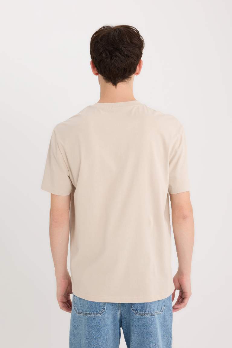 Regular Fit Crew Neck T-Shirt