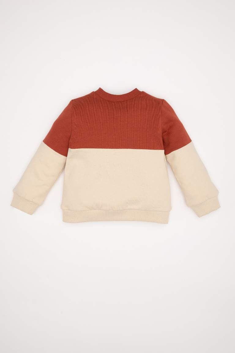 Erkek Bebek Bisiklet Yaka Renk Bloklu İçi Yumuşak Tüylü Sweatshirt