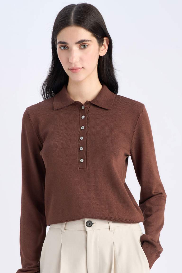 Regular Fit Polo Collar Basic Knitwear Pullover