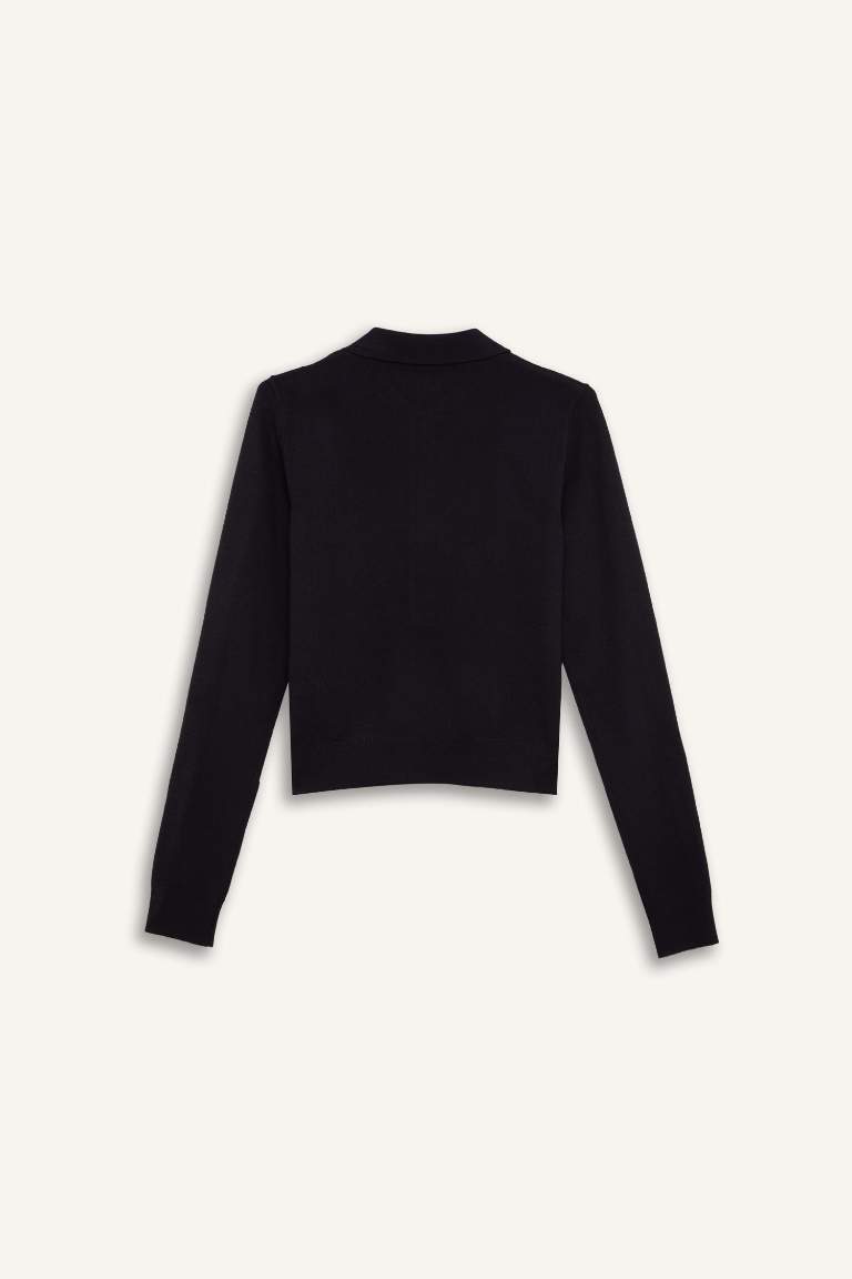 Regular Fit Polo Neck Basic Knitwear Pullover